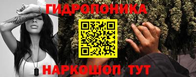 твердый Балашиха