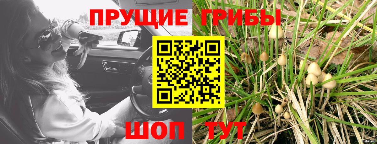 Галлюциногенные грибы GOLDEN TEACHER Донецк
