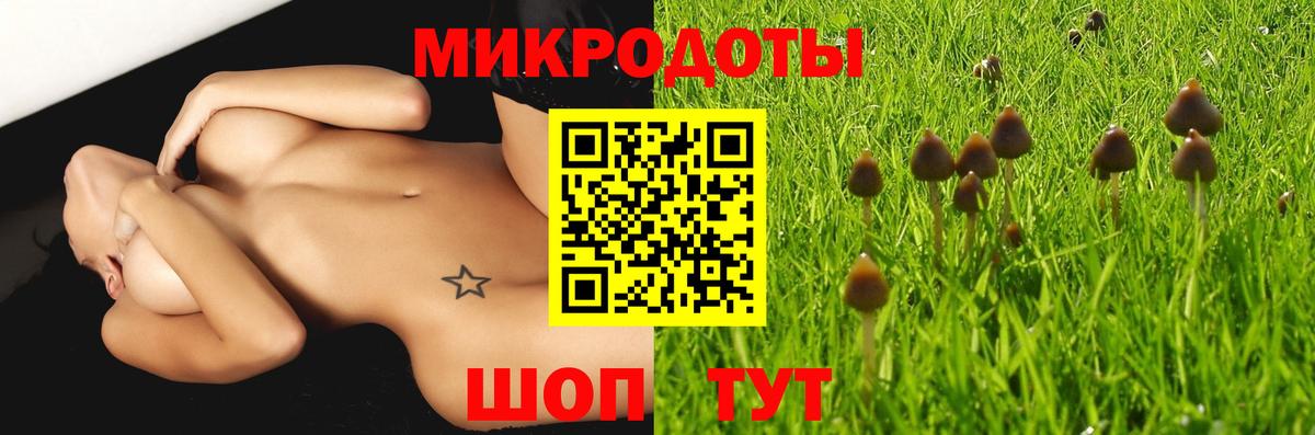 Донецк  Псилоцибиновые грибы MAGIC MUSHROOMS  Галлюциногенные грибы MAGIC MUSHROOMS  Вход с VPN 